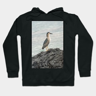 Black-crowned night heron of hawaii 5 Hoodie